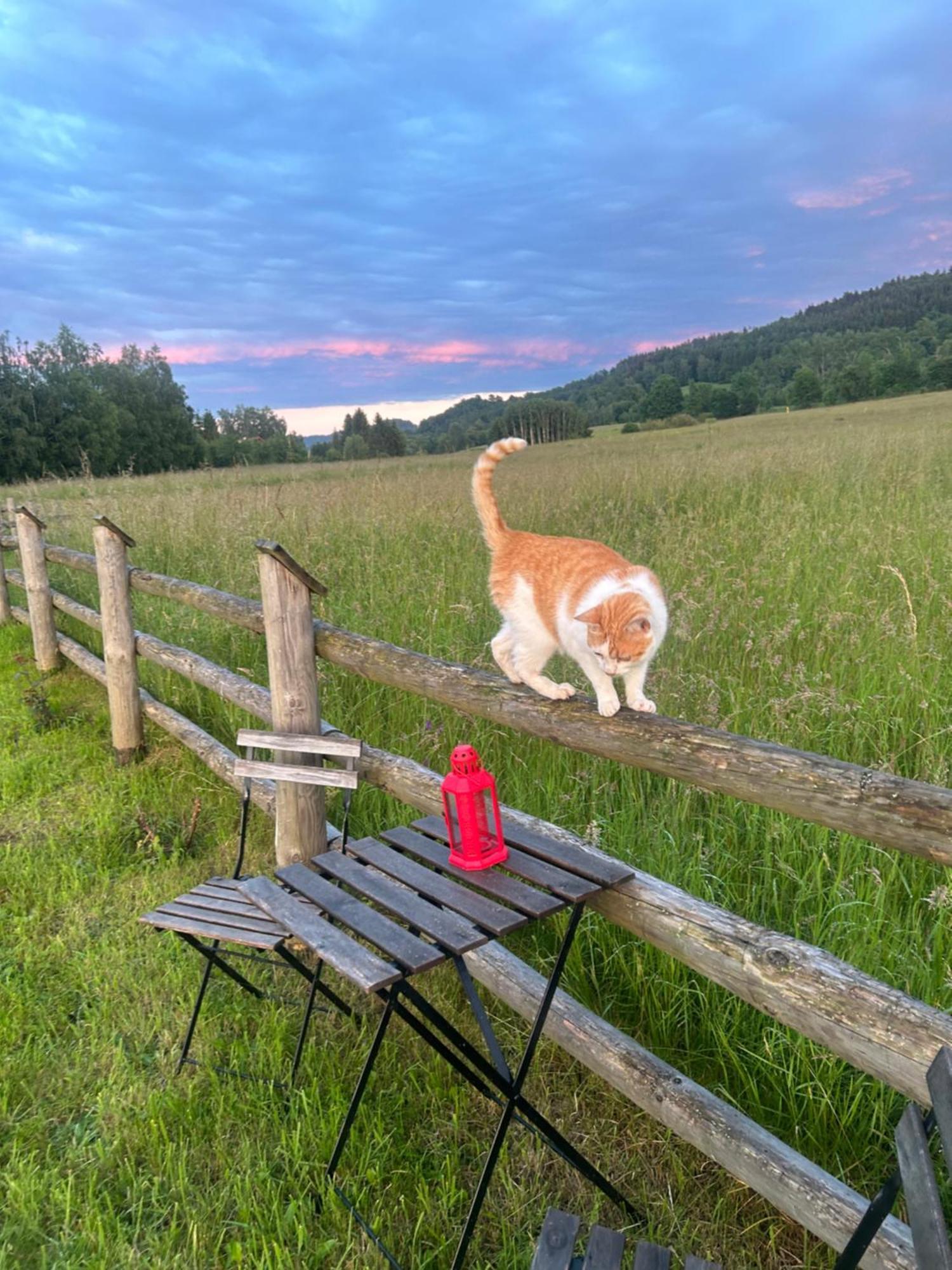 Sloneczna Chata Z Bali Lądek-Zdrój Esterno foto