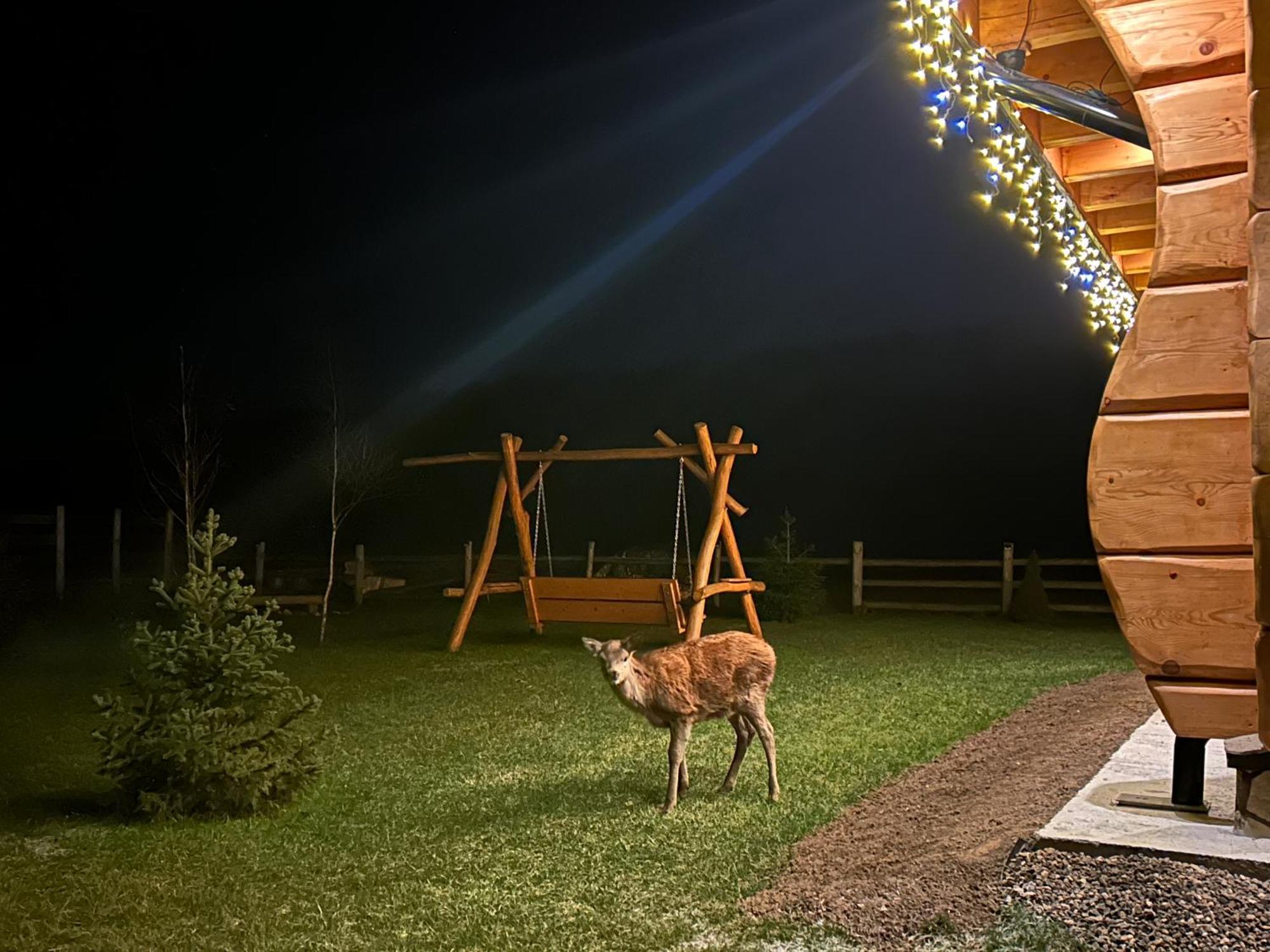 Sloneczna Chata Z Bali Lądek-Zdrój Esterno foto